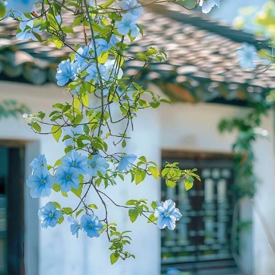 HNhuhuyen's profile picture. 