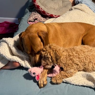 kcflavin's profile picture. 