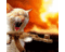 todaysviralvids's profile image