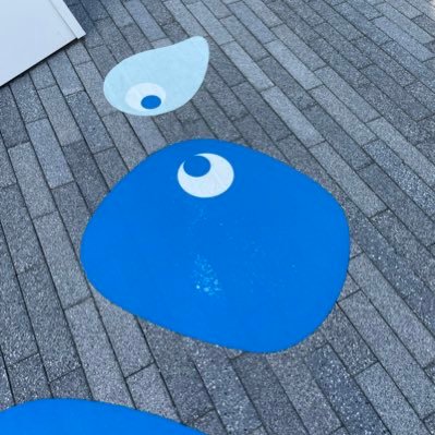 maryrabbitstar's profile picture. 2027中受/2030