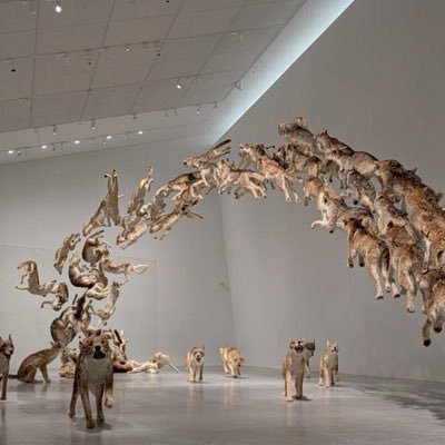 DYhykN1Ur947692's profile picture. 日常