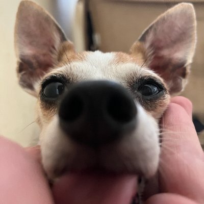 gcasonato__'s profile picture. 