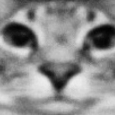 Barney42069_'s profile picture. Meow