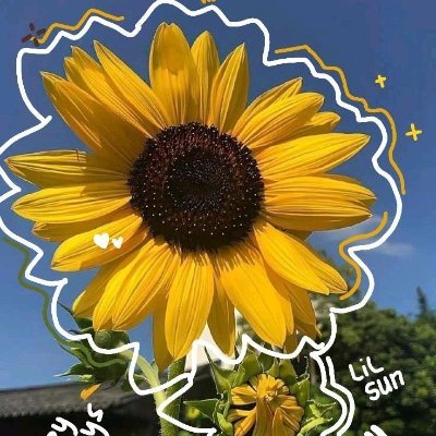 sigitsejiwa's profile picture. “Kesulitan melupakan seseorang merupakan hasil dari keterikatan emosional yang kuat, di mana sistem limbik otak — khususnya amigdala dan hipokampus — terus meng