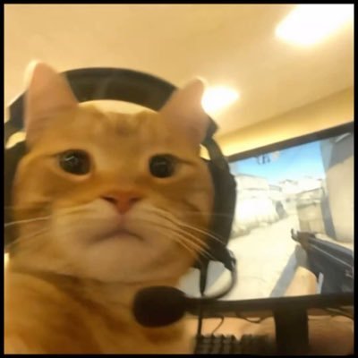 Anxrchh's profile picture. I play games with my friends | 🇿🇦