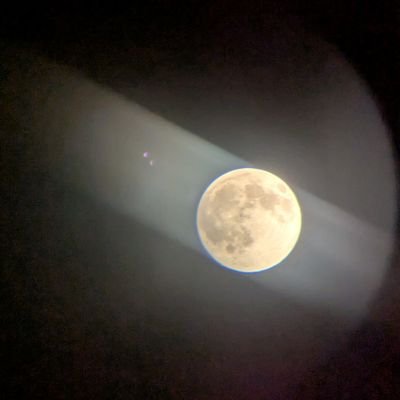 bardofthemoon's profile picture. reliably forgettable poet.