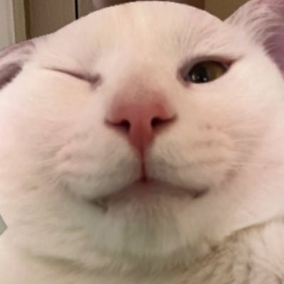 bubblejibi's profile picture. 