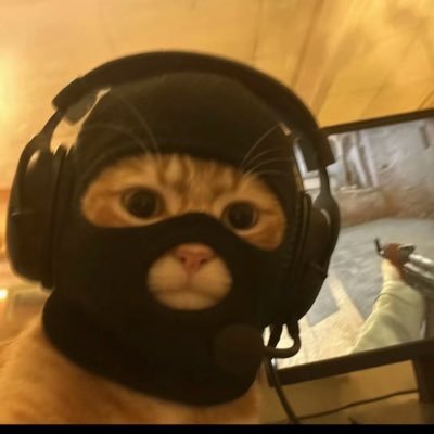 babybeine's profile picture. (Funded trader)I've been involved in the NFT space for a year now, and during this time, I've met many interesting people. R5T3E8RS
