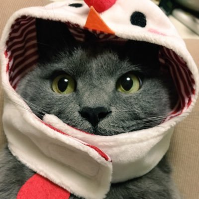 にしむらさんのプロフィール画像
