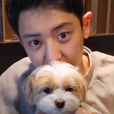 marupapayaa's profile picture. admin bacot