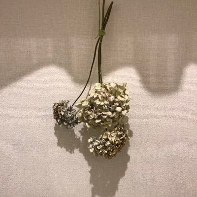 mme_gane's profile picture. 
