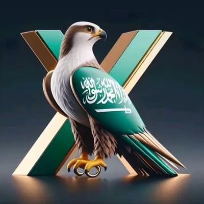 ail_ss Profile Picture