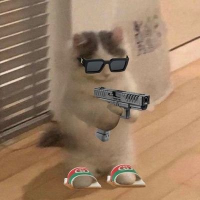 xindreamer's profile picture. 