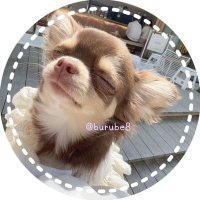 ラベンダー (@burube8) 's Twitter Profile Photo