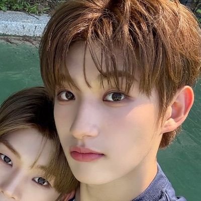 nopain_nofail's profile picture. 발견시가까운병원으로데려가주세요
