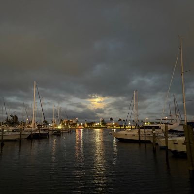 kc11dog's profile picture. I’m a guy from a place somewhere sometime