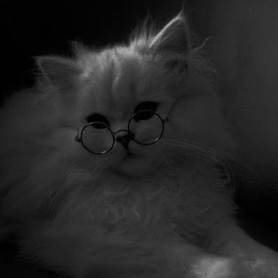 PrageyaR's profile picture. 