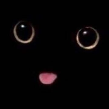 moseylion1's profile picture. fake will be blocked.