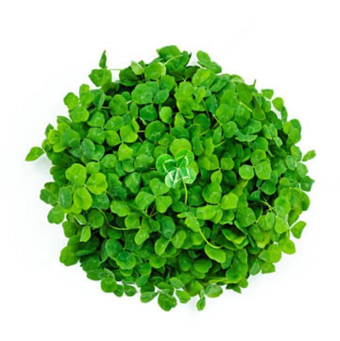 HaraguchiM1043's profile picture. 