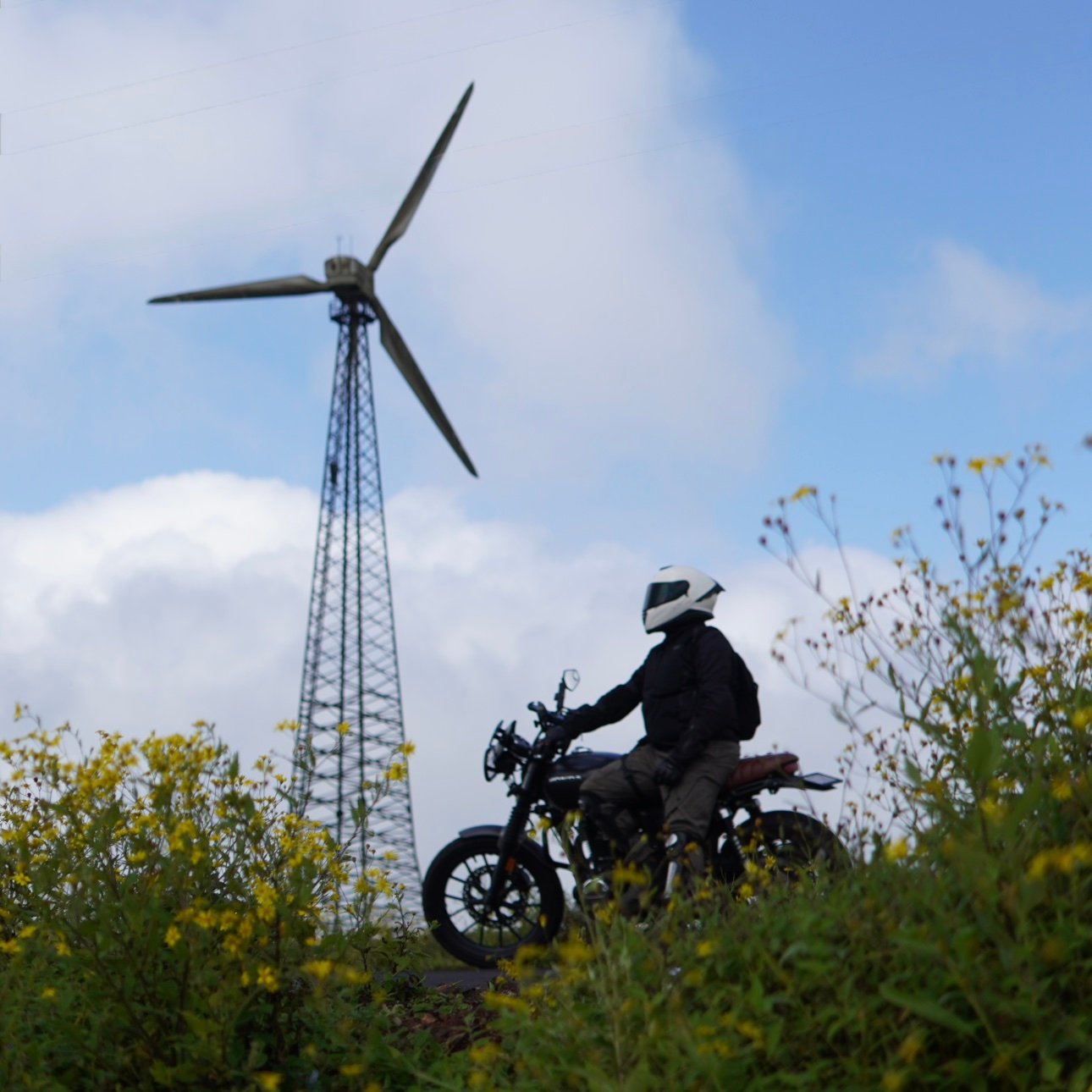 m0tomafia's profile picture. 