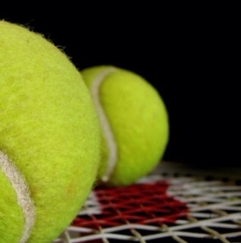 TennisProbz's profile picture. Minority sports have so many problems.