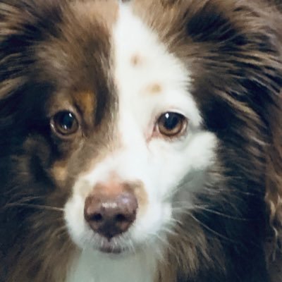 Self_Cancelled's profile picture.