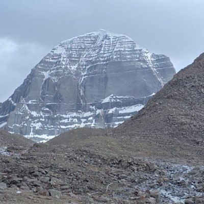 bpintw's profile picture. Investor