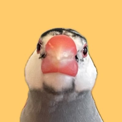 ｏｋｏｍｅさんのプロフィール画像