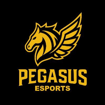 @pegasus_esval