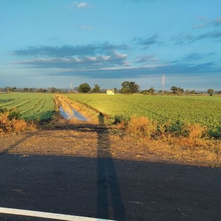 0xHarshSR's profile picture. Web3 Security Researcher WIP