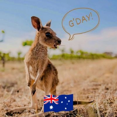 AndiTlocalvendo's profile picture. Products/service

Purchase anywhere in Australia 🇦🇺 and have it delivered to you within 24hrs 🔥
