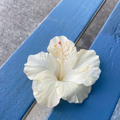 errii57's profile picture. 