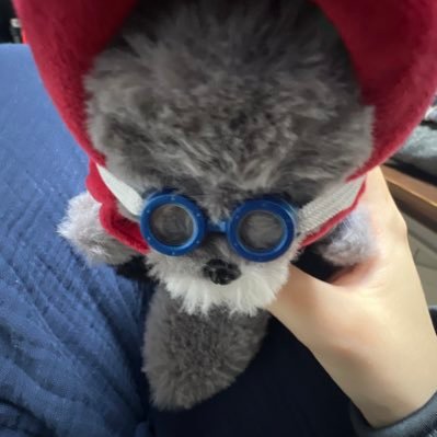 멱잡이さんのプロフィール画像