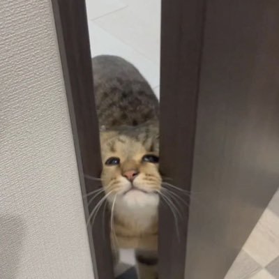 gmasifl_bb's profile picture. 