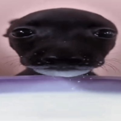 123Jammath34's profile picture. doodlebob