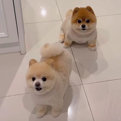 so29224's profile picture. 