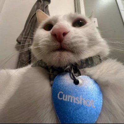 MacThaGOATTTT's profile picture. 27. The most aura out of anyone ever