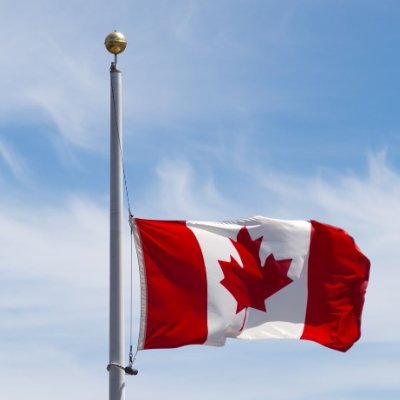 Cecilyecilys's profile picture. ❤ Christian, Wife, Mom, Daughter, Sister, Friend ❤ 💪😎Proud LEGAL Wife to Amazing American Man 🇺🇲🇨🇦
Trump '24 - Incredible policies
🥩🧈🥚🧂💪😎