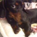 Donna Robillard - @ddrobillard - Twitter