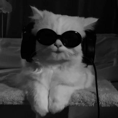 slemeht's profile picture. tutta vita