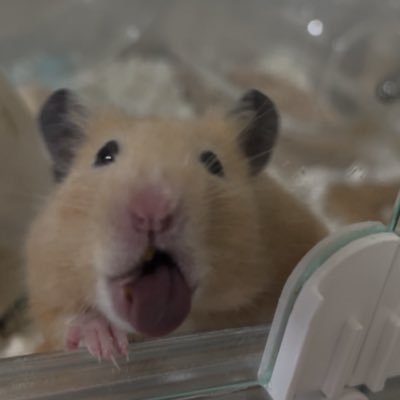 なななさんのプロフィール画像