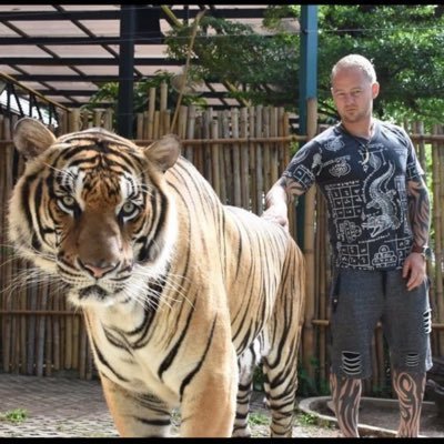 TigerCryptoGods's profile picture. tigers love hunting (bad) hexicans ...... 🐅 Tiger gonna get you ........ https://t.co/DFFxxaAt7m