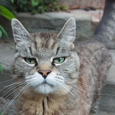 LeeAnnWilson54's profile picture. 