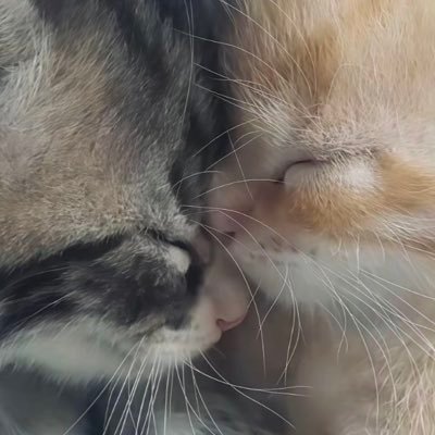 zhhtyr's profile picture. 