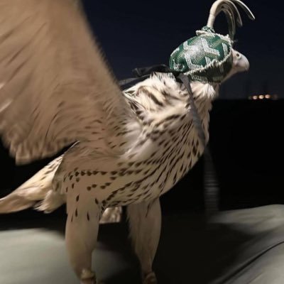 واذكر ربك إذا نسيت