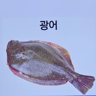 미미광어🐟지느러미슬래쉬さんのプロフィール画像