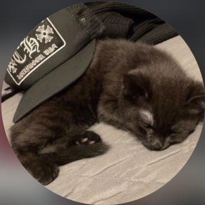 percweb4's profile picture. you can copy my trades