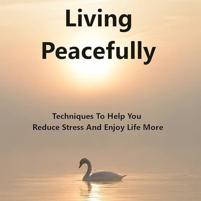 @Peacefully_pk