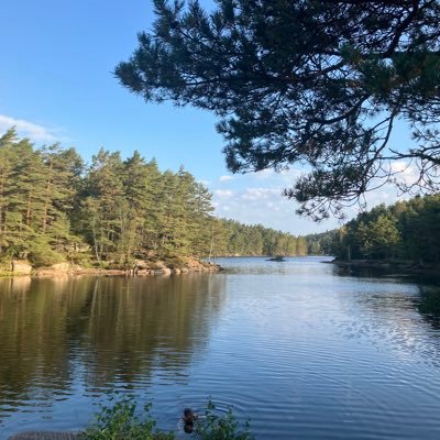HohnerMats80505's profile picture.