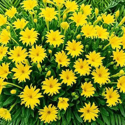 Sophia825572994's profile picture. 